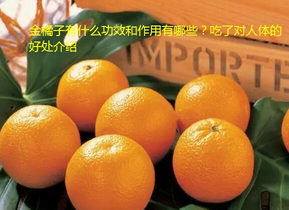 金橘子有什么功效和作用有哪些？吃了对人体的好处介绍