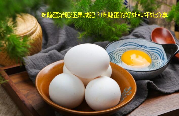 吃鹅蛋增肥还是减肥？吃鹅蛋的好处和坏处分享