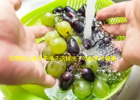 葡萄怎么洗才干净？这样洗了吃起来才健康