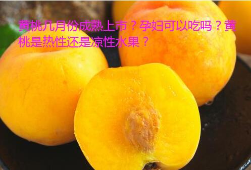 黄桃几月份成熟上市？孕妇可以吃吗？黄桃是热性还是凉性水果？